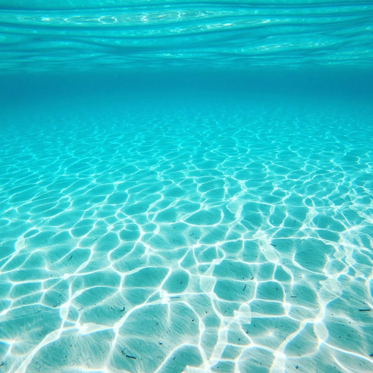 Top view of Borik Hills private pool and sun deck in Zadar