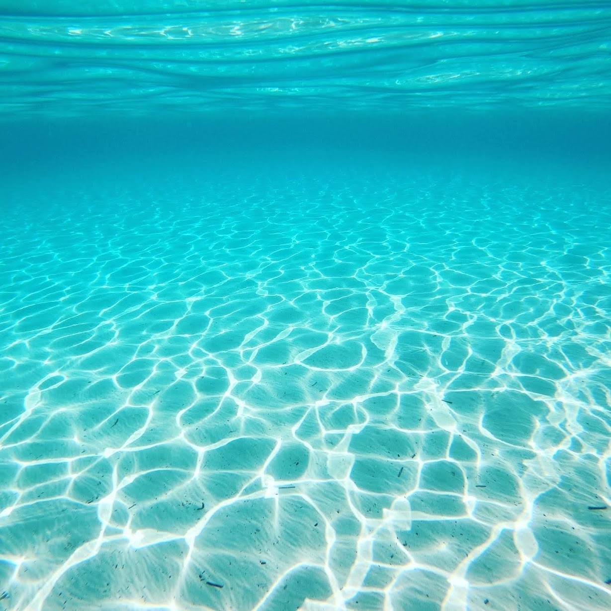 Paradise beach promenade in Zadar with Adriatic sea view
